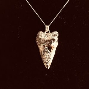 House of Harlow 1960 Pendant and Chain